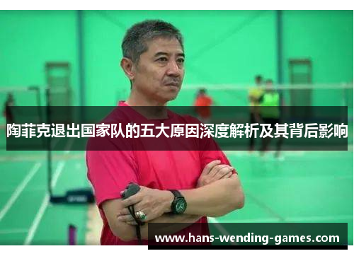 陶菲克退出国家队的五大原因深度解析及其背后影响